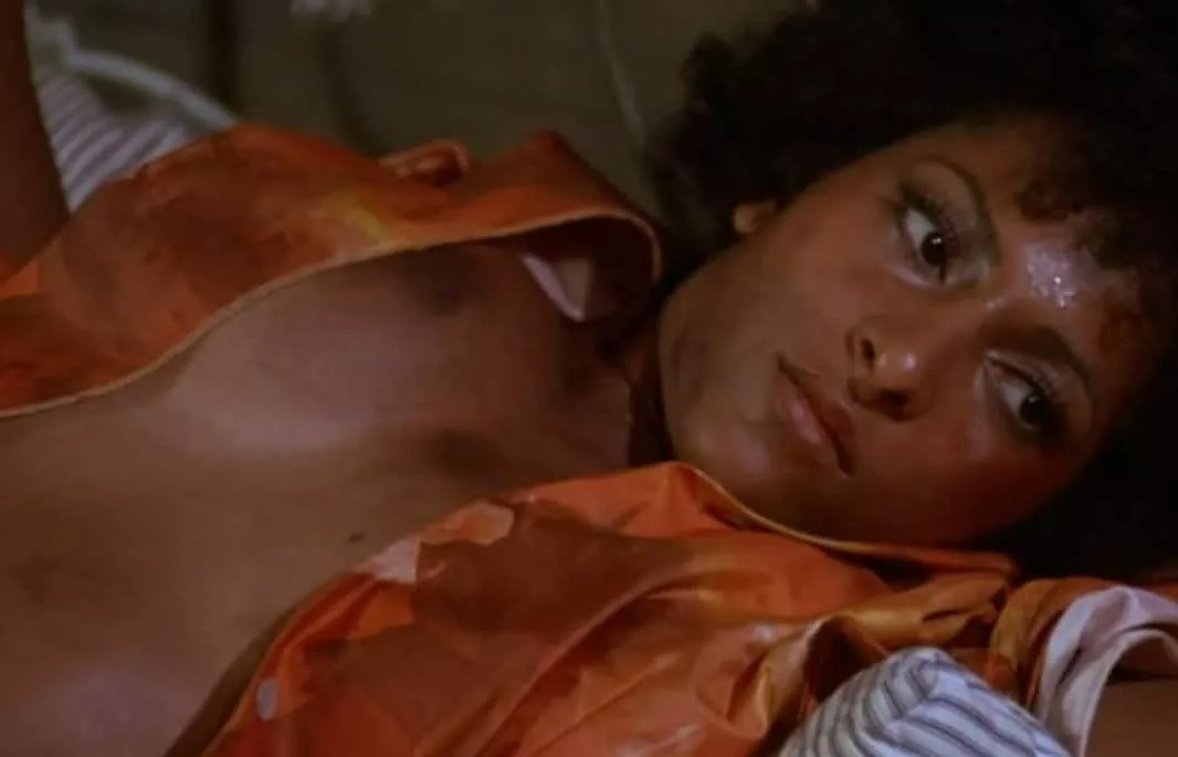 Pam Grier Nude Picture 53